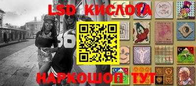 прущие крисы Новодвинск