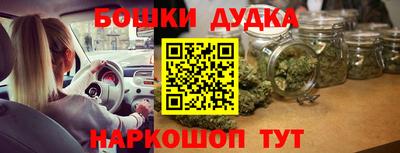 прущие крисы Новодвинск